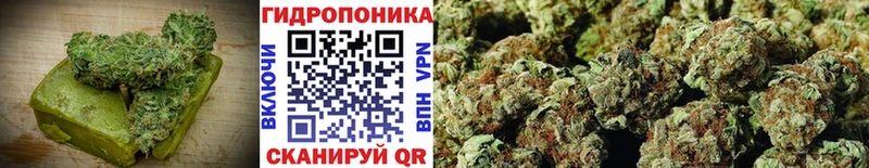 Canna-Cookies марихуана  цены   Благовещенск 