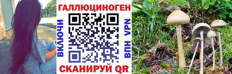 Псилоцибиновые грибы мухоморы  купить   Благовещенск 
