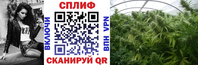 darknet какой сайт  гидра сайт  Благовещенск  Марихуана гибрид 